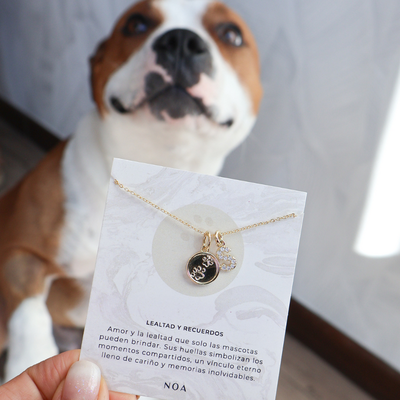 COLLAR SAM BAÑO DE ORO + INICIAL