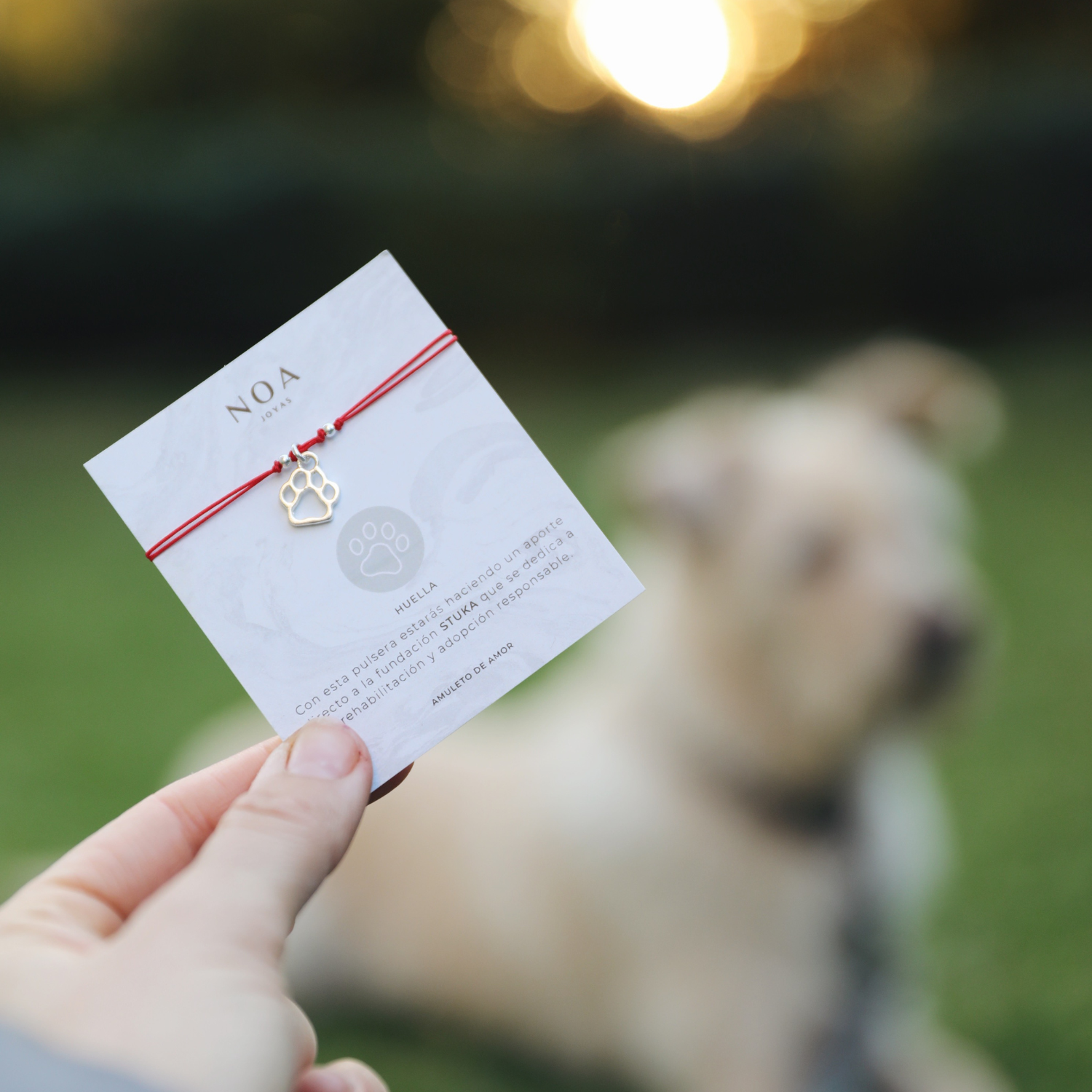 PULSERA HILO ROJO HUELLA MASCOTA PLATA