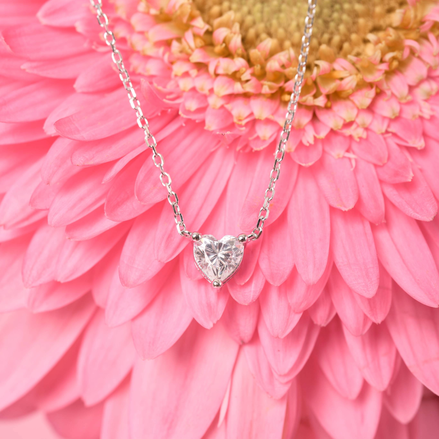 COLLAR MOM HEART WHITE SOLITARY PLATA