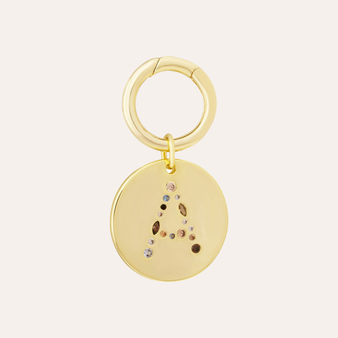 MEDALLÓN CHARM MASCOTA A