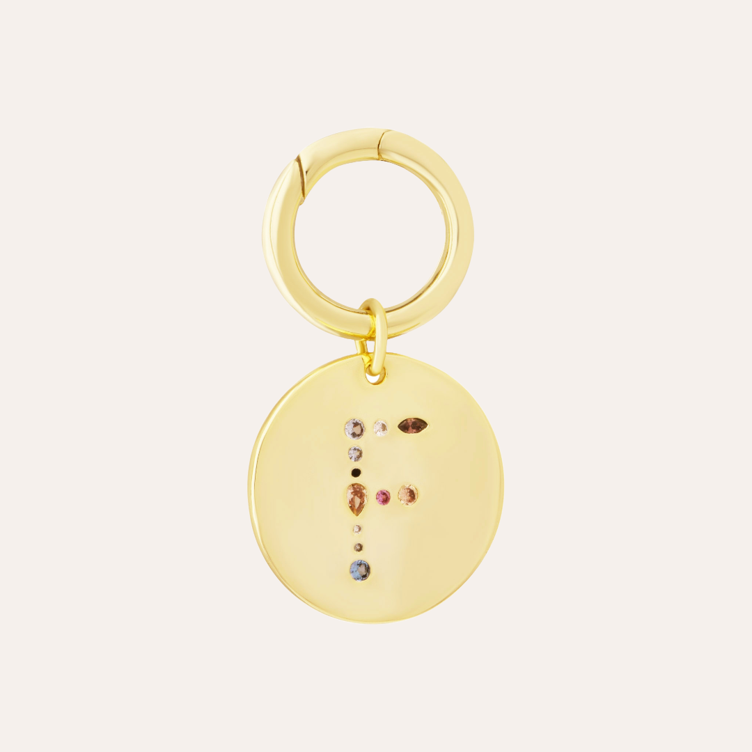 MEDALLÓN CHARM MASCOTA F