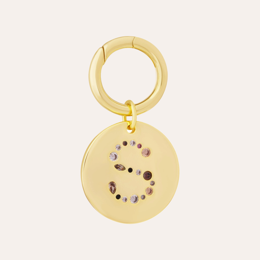 MEDALLÓN CHARM MASCOTA S