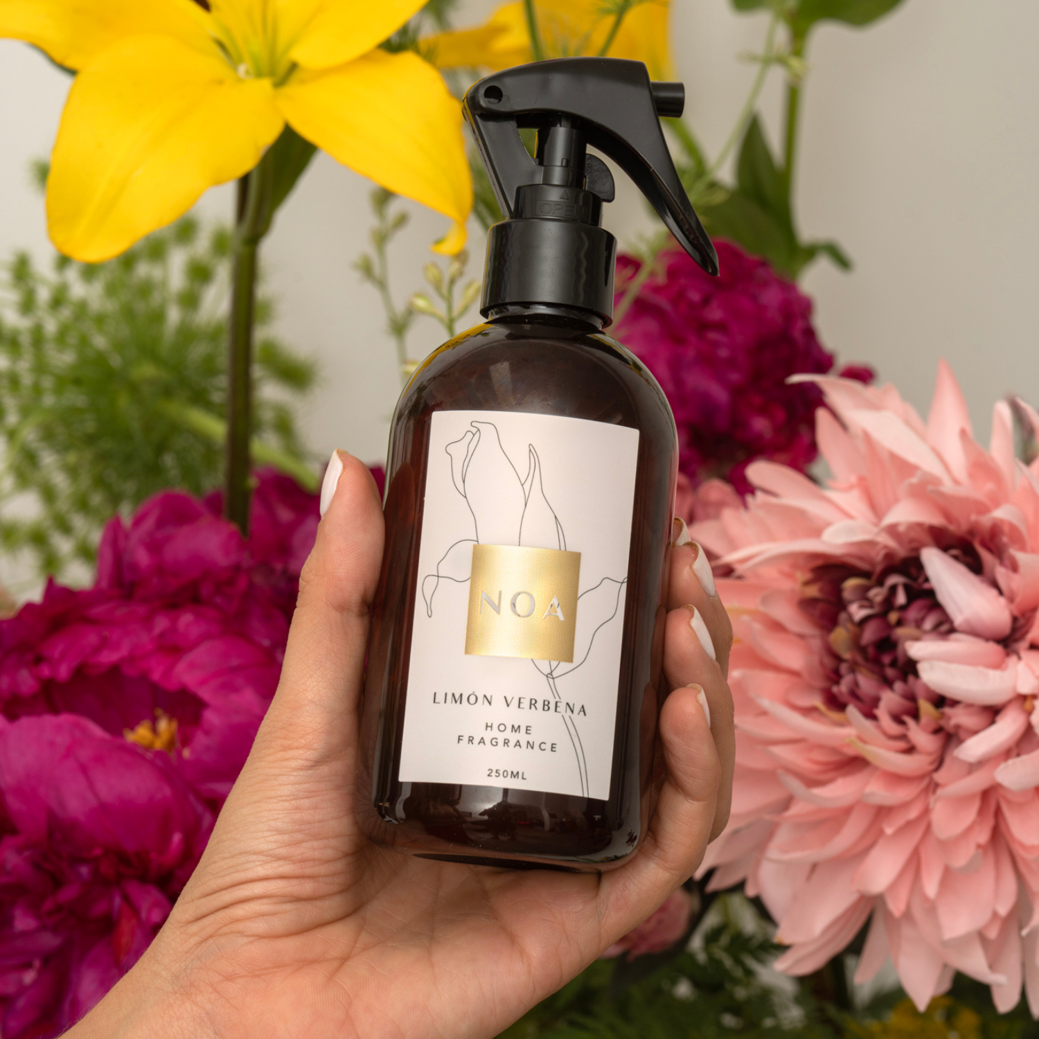 PACK AROMATIZADORES AMBIENTE Y AUTO