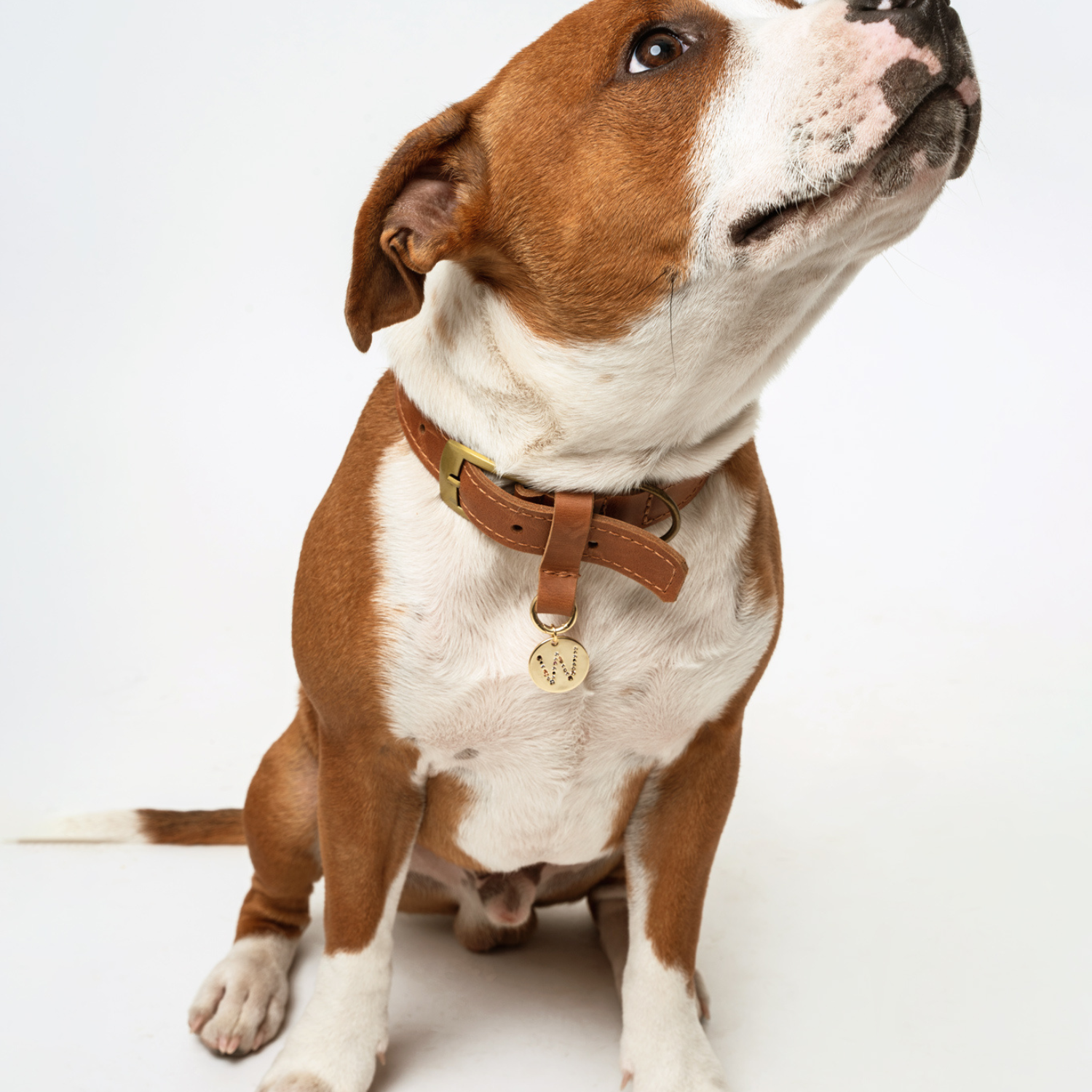 MEDALLÓN CHARM MASCOTA W