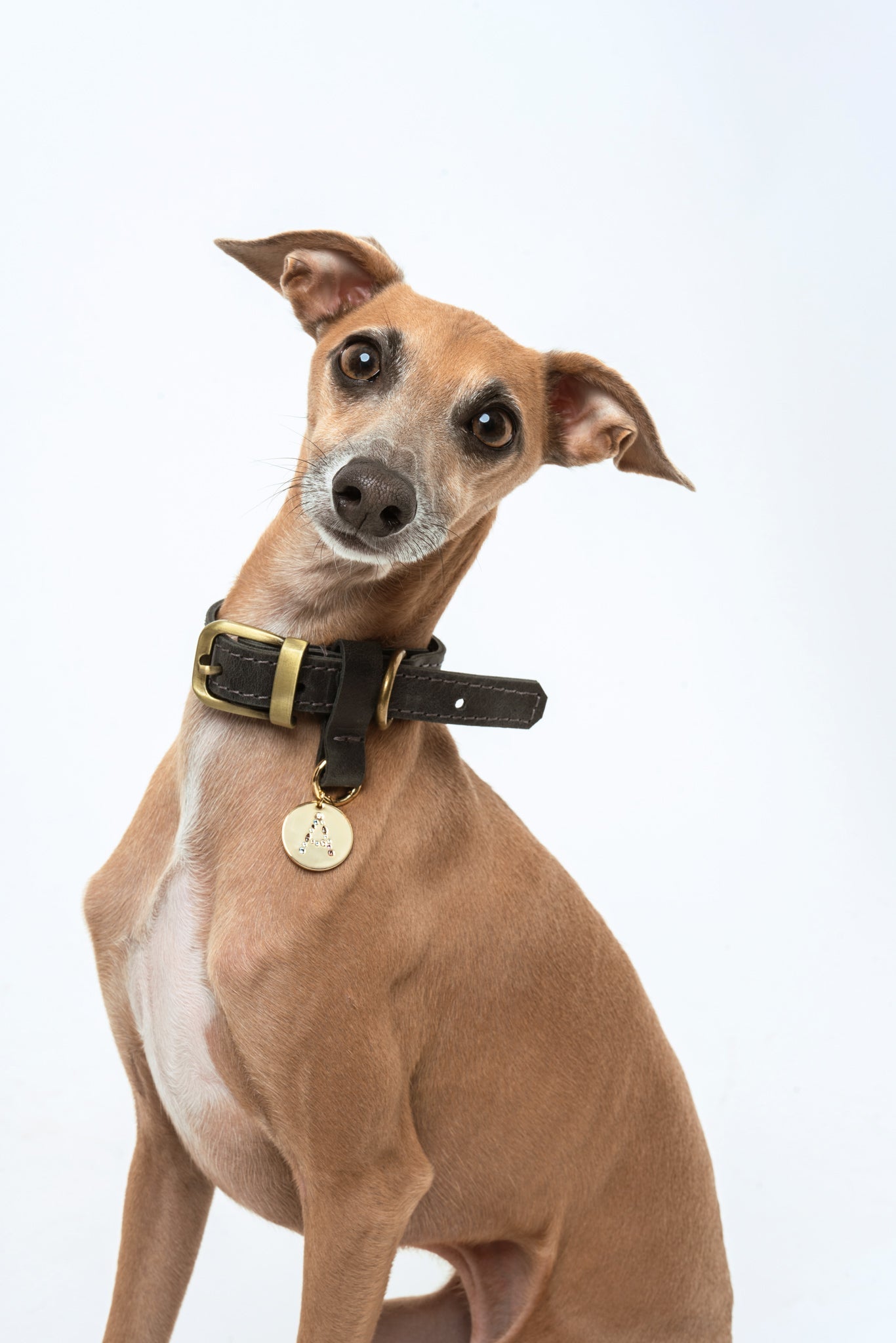 MEDALLÓN CHARM MASCOTA T