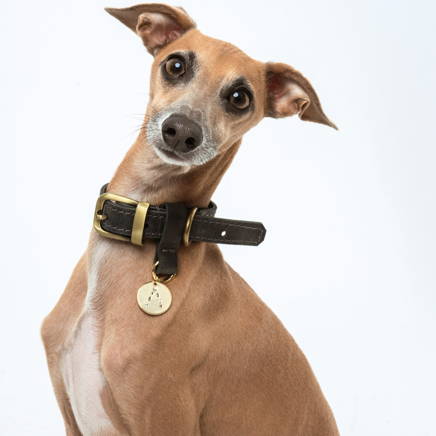 MEDALLÓN CHARM MASCOTA L