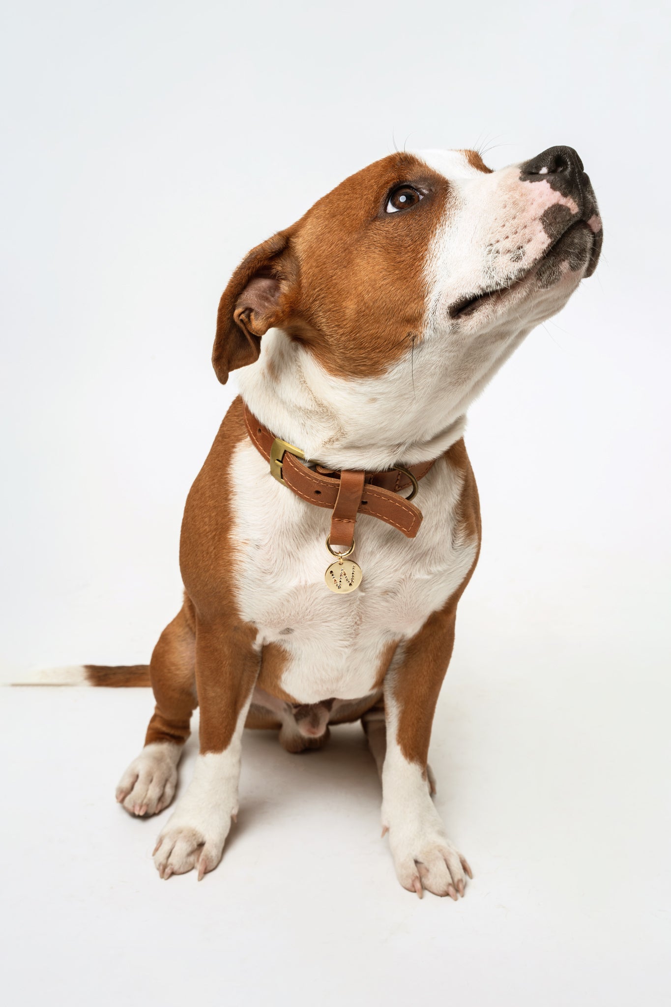 MEDALLÓN CHARM MASCOTA A